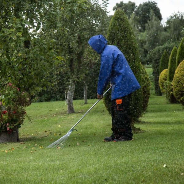 Aménagement et entretien de jardin : pourquoi faire appel à un paysagiste ?